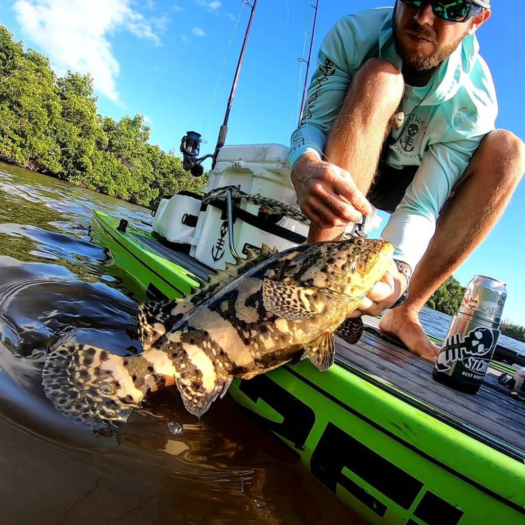 Grouper on the SUP